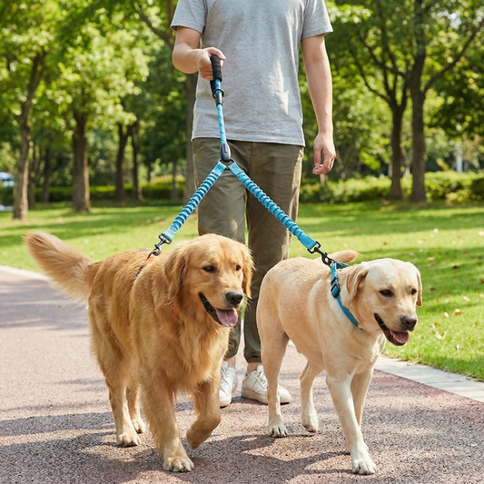 About dm 20260303210535 007