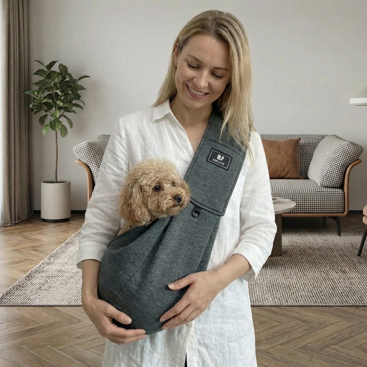 About dm 20260303210535 016